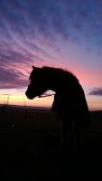IMG-20140204-WA0004.jpg